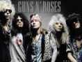 /products/imagen-guns-and-roses/